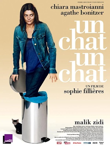 Un chat un chat affiche