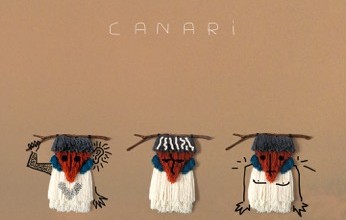 Canari