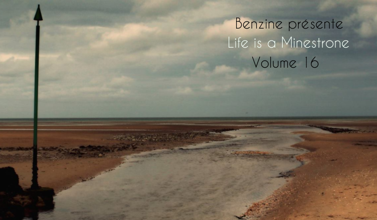 Life is a Minestrone, Volume 16 spec benzine + titre