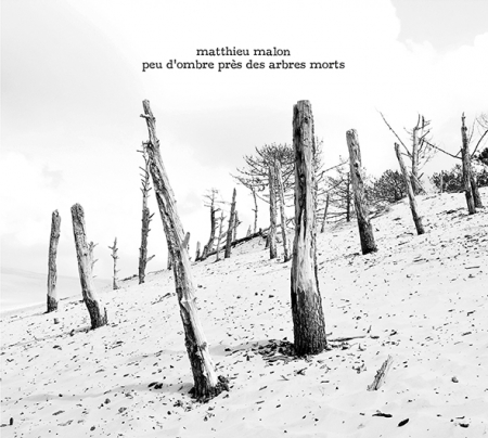 Matthieu Malon - Peu d'ombre près des arbres morts