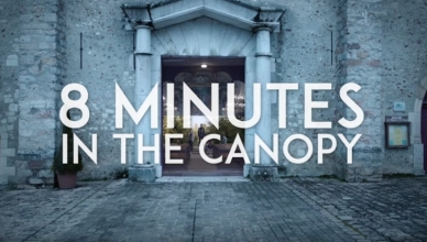 8 MINUTES - IN THE CANOPY