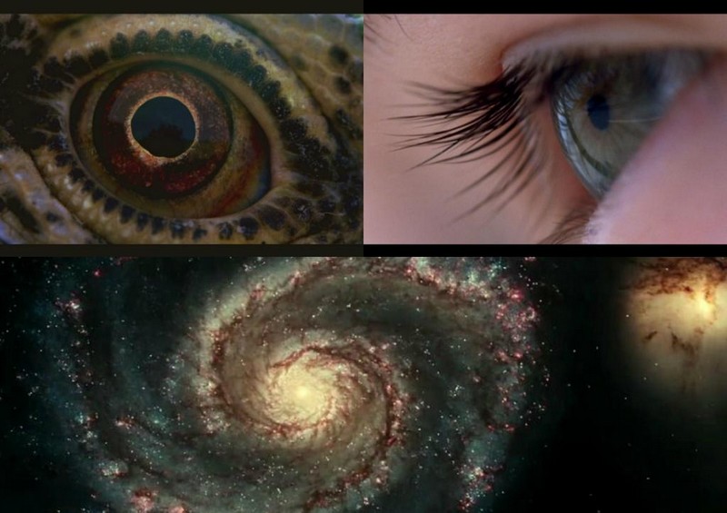 Voyage of Time – Terrence Malick