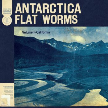 Flat Worms Antartica