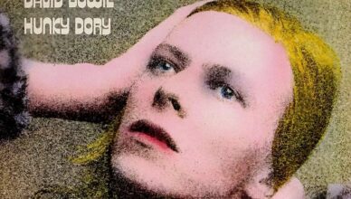 Hunky Dory Image