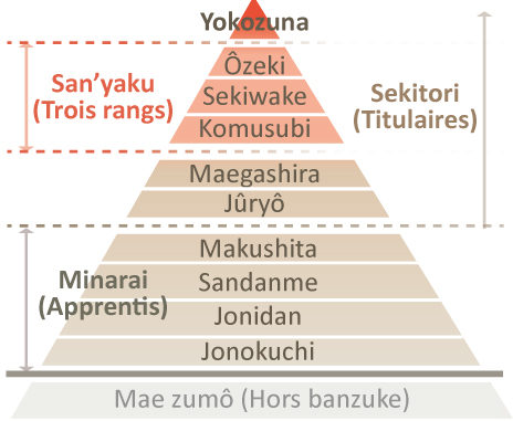 La pyramide des grades du sumo