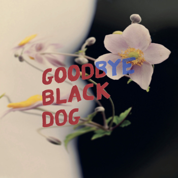 purrs goodbye black dog