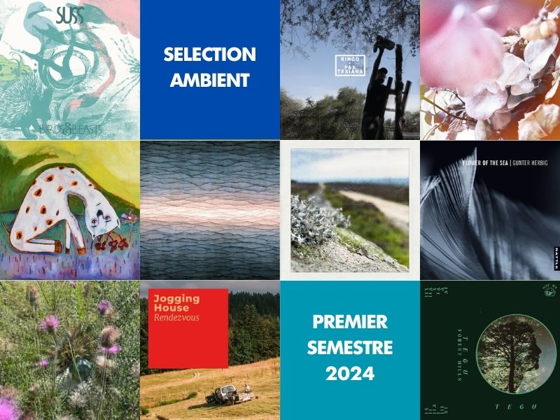 selection-ambient-premier-semestre-2024