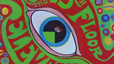 13th Floor Elevators image