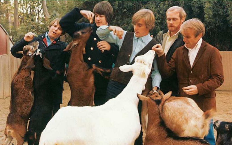 The-Beach-Boys-Pet-Sounds Image