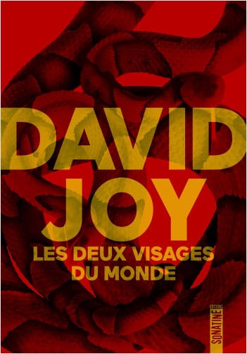 "Les Deux Visages du monde", de David Jo