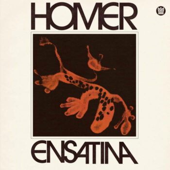 Homer – Ensatina