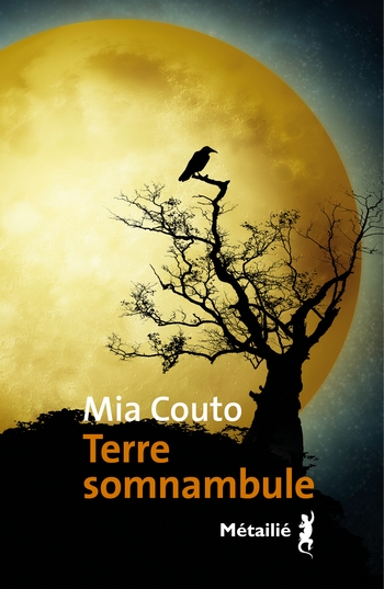 terre-somnambule-terre-somnambule