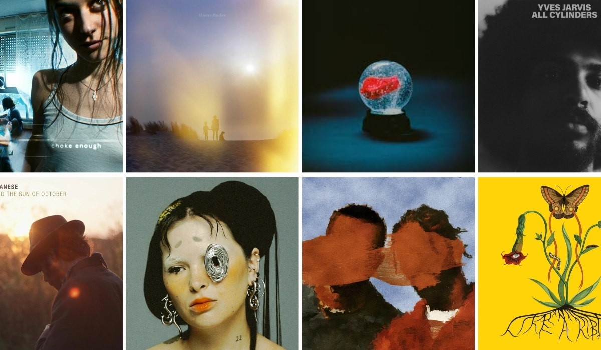 10 albums en plus fevrier 2025